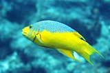 Curacao 04-12 491